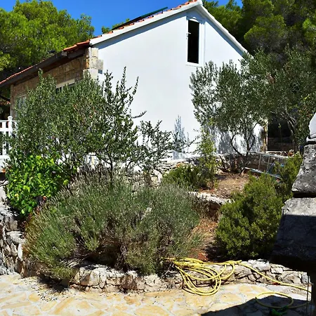 Poseidon House On Island Of Brac