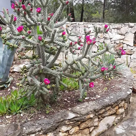 Holiday home Poseidon House On Island Of Brac *